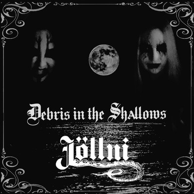 Debris in the Shallowsのジャケット写真