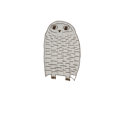 blue owl Front Cover