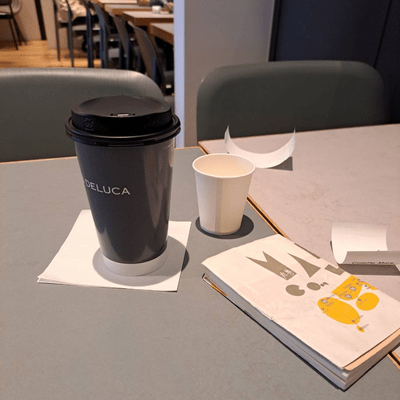 2010 flow (Demo) Front Cover