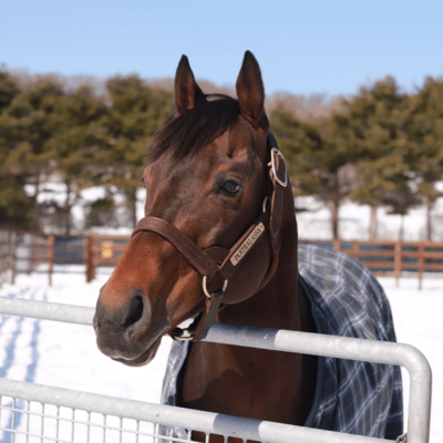 Song of Panthalassa Front Cover