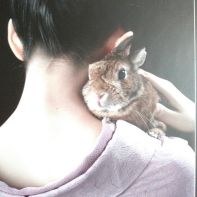 燈と小夏のジャケット写真