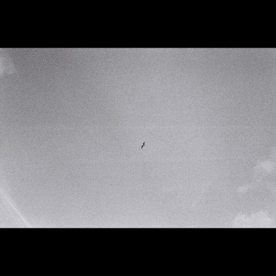 Gray All Overのジャケット写真