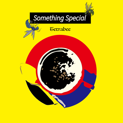 Something Special Front Cover