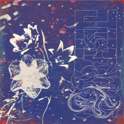 Flow Forever Front Cover