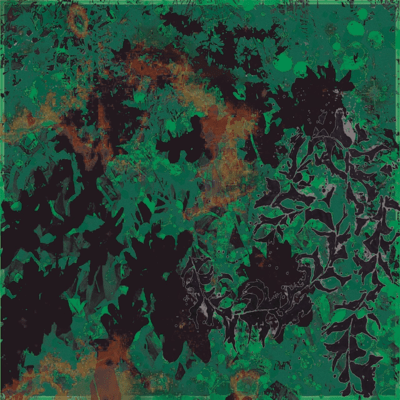 Hide & Seek Front Cover