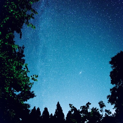 銀河鉄道の夜 : 未来 : COSMOSのジャケット写真