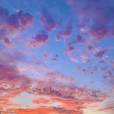 Terra Mater : I dedicate this song to you (feat. 亜沙美)のジャケット写真