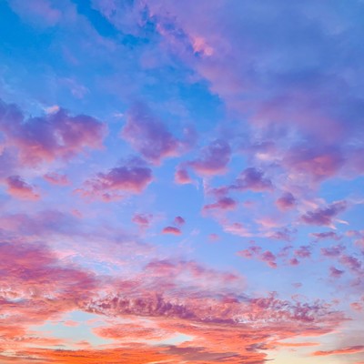 Terra Mater : Renaissance Front Cover