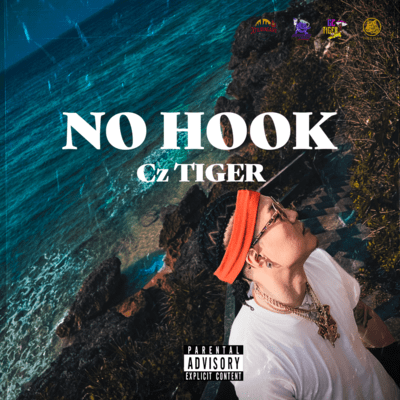 NO HOOKのジャケット写真