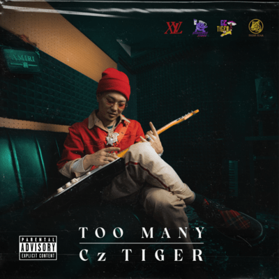 TOO MANYのジャケット写真