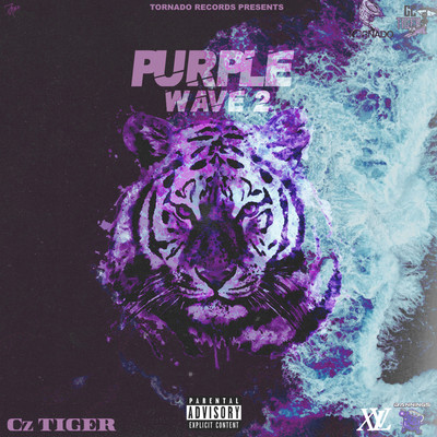 PURPLE WAVE 2 Front Cover