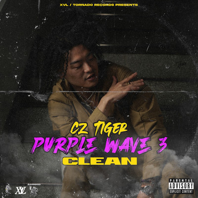 PURPLE WAVE 3 - CLEAN Front Cover