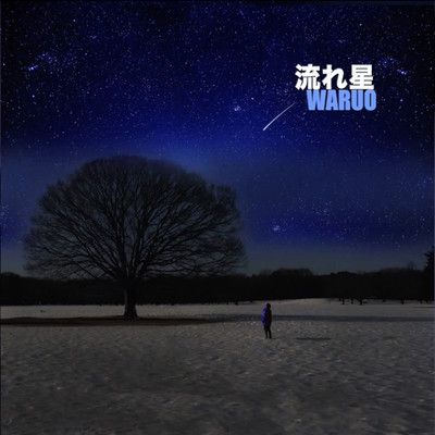 流れ星のジャケット写真