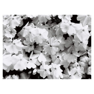 kindness Front Cover