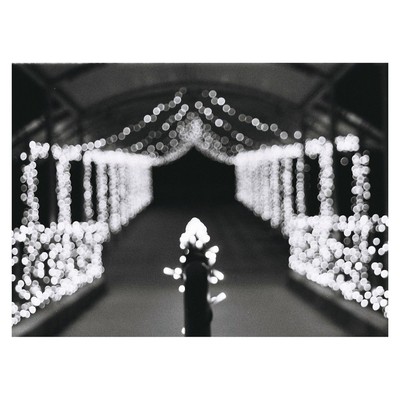 聖なる踏み台のジャケット写真