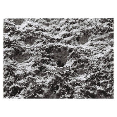 春は永遠に繰り返すのジャケット写真