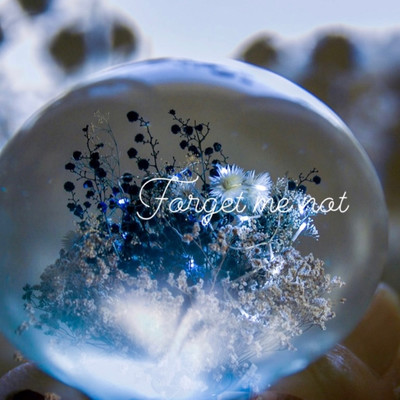 Forget me not Front Cover