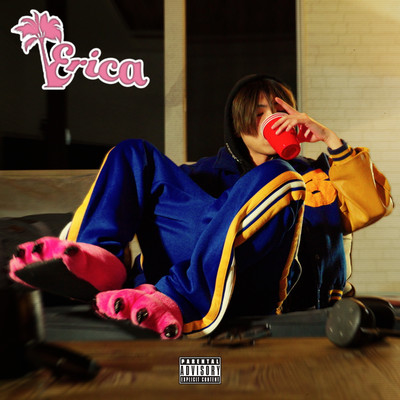 Erica Front Cover