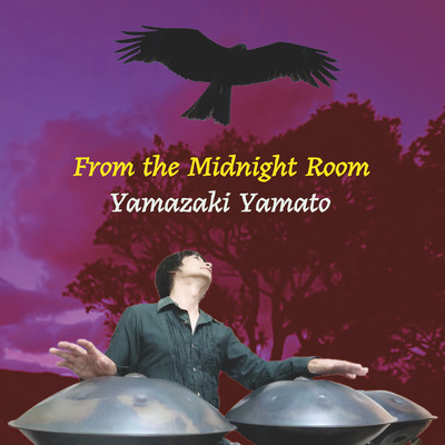 From the Midnight Room Front Cover