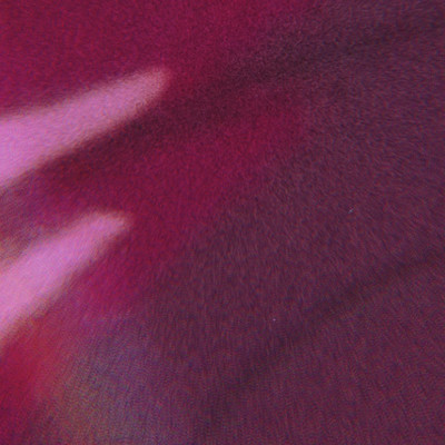 oltのジャケット写真