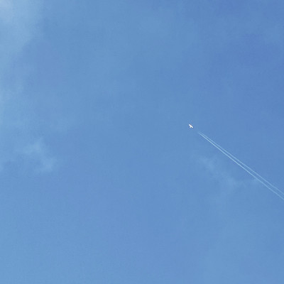 ignoreのジャケット写真