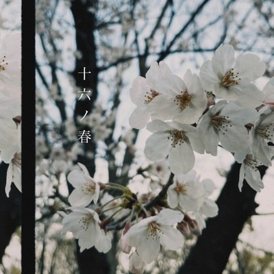 16th spring Front Cover