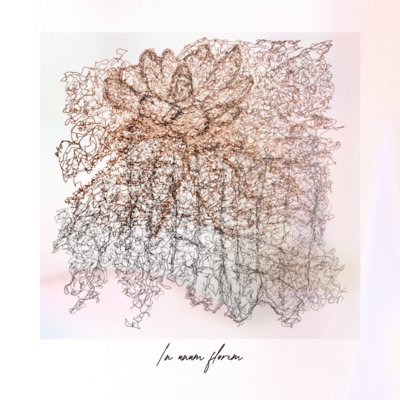 In unum florem Front Cover