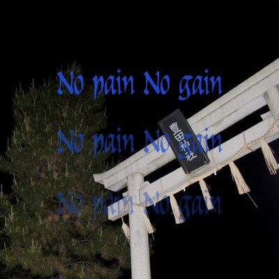No Pain No Gain (feat. RUNE999) Front Cover