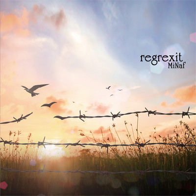 regrexit Front Cover