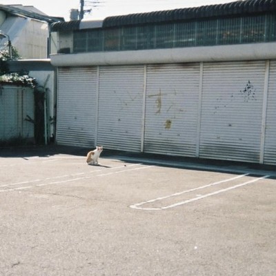 夢物語のジャケット写真