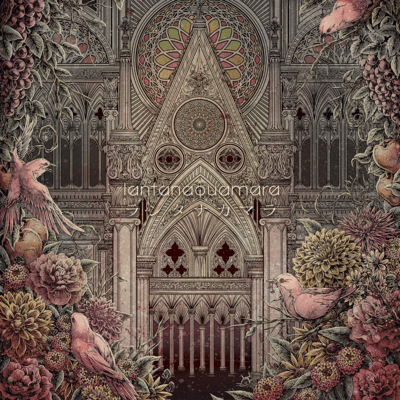 lantanaquamara Front Cover