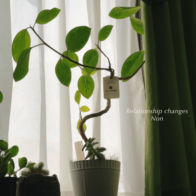 Relationship changes Front Cover