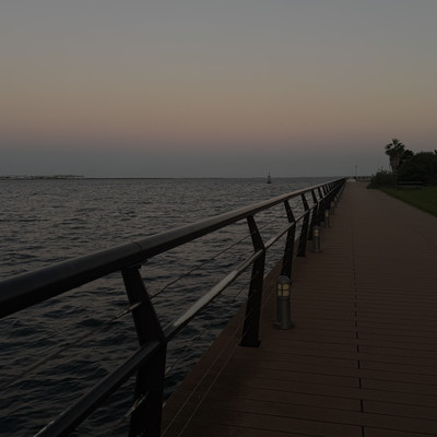 扇島のジャケット写真