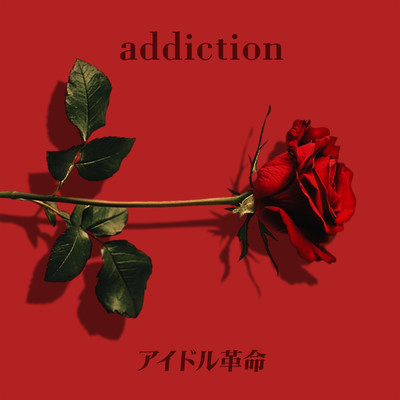addictionのジャケット写真