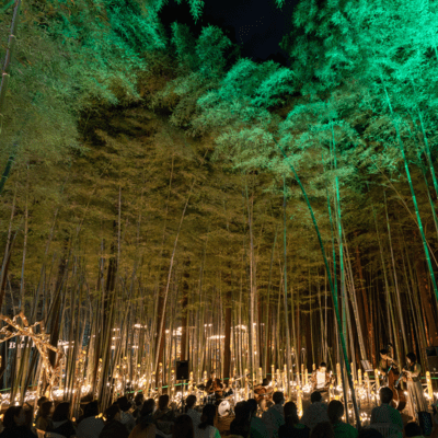 move on now (LIVE version -2025 TAGAMI Bam Boo Boo-) Front Cover