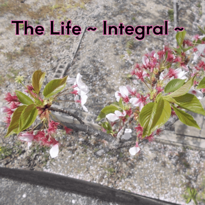 The Life ~ Integral ~ Front Cover