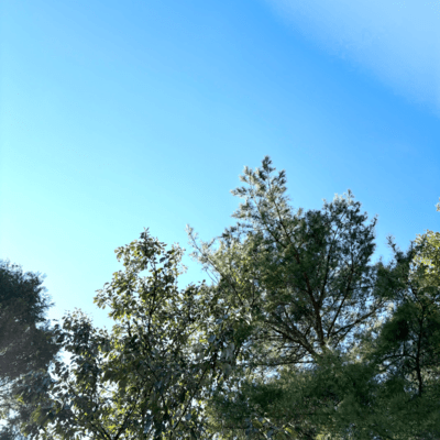 JUMPのジャケット写真