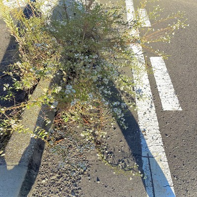 NIGHTのジャケット写真