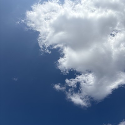 FREE NOTEのジャケット写真