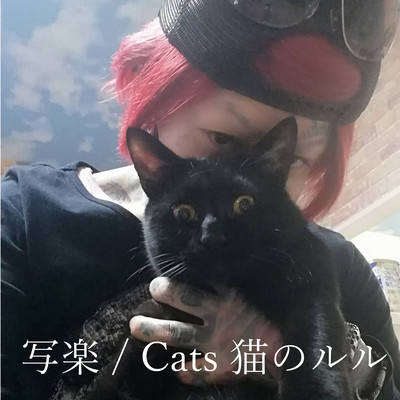 Cats 猫のルルのジャケット写真