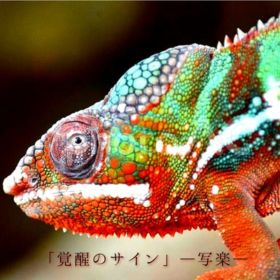 覚醒のサインのジャケット写真