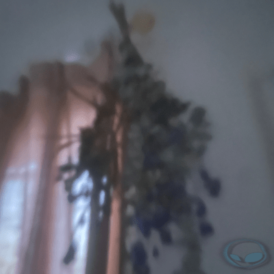 Earthquake Front Cover