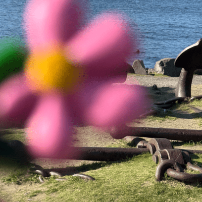 Nerf Front Cover