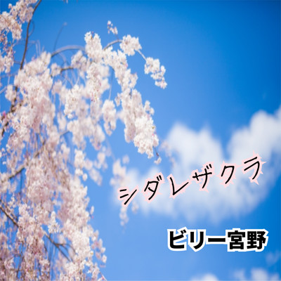 shidarezakura Front Cover