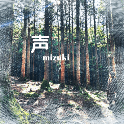 声のジャケット写真