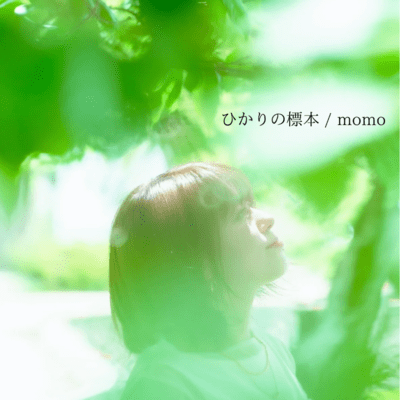ひかりの標本のジャケット写真