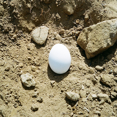 サンドアイランドのジャケット写真