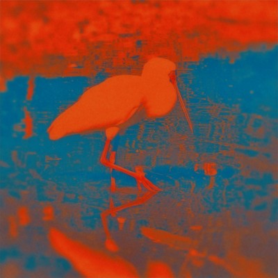 Fleeting Loveのジャケット写真