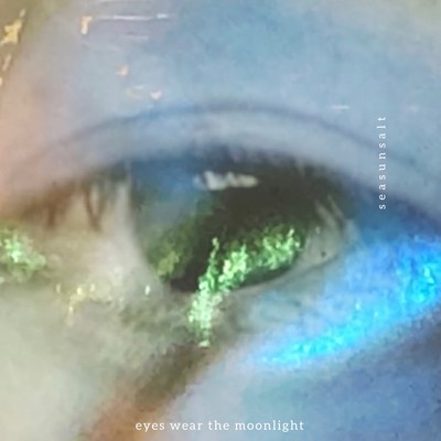 eyes wear the moonlight Front Cover