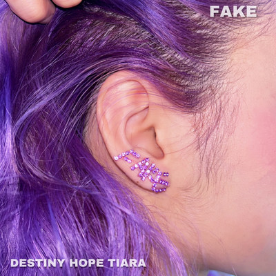 FAKE Front Cover